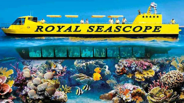 رحلة الغواصة رويال سي سكوب صب مارين شرم الشيخ