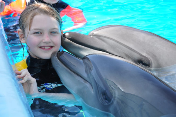 عرض الدولفن بشرم الشيخ