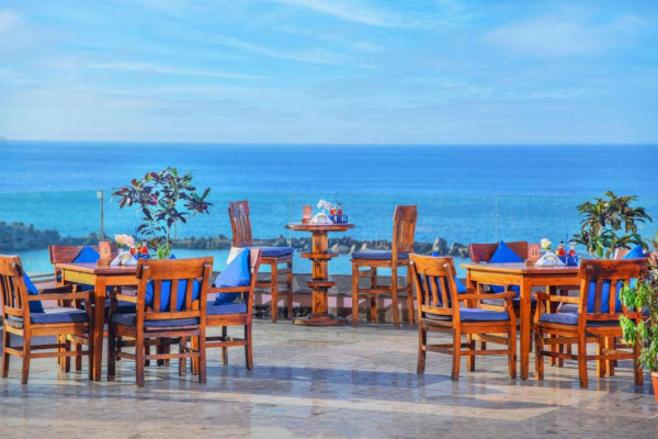 توليب اسكندرية