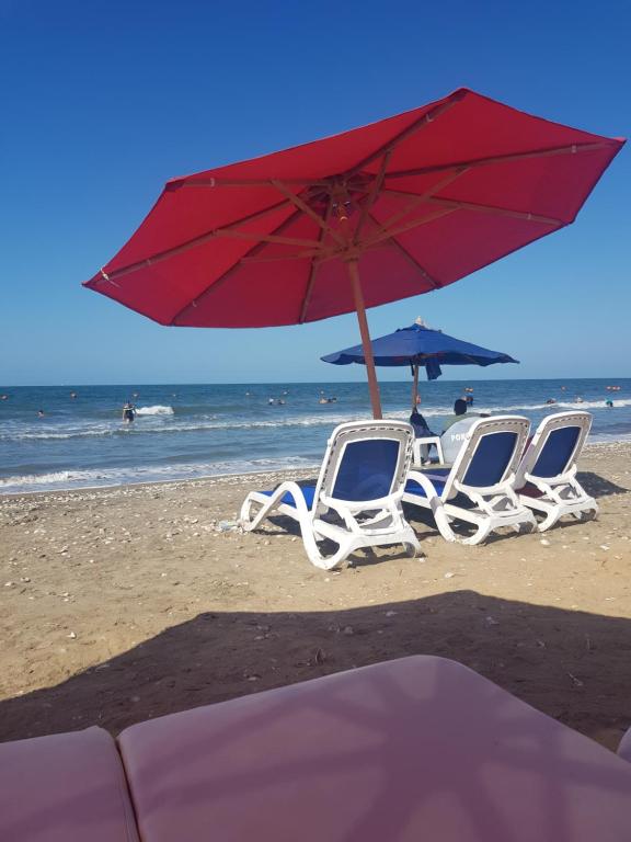 شاليهات بورتو سعيد