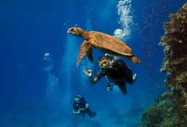 رحلة بحرية مرسى مبارك /مرسى علم