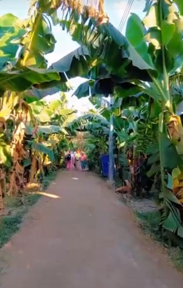 رحلة بالفلوكة لجزيرة الموز بالاقصر